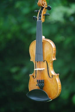 violino piccolo